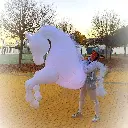 IMG-20250930-WA0103.webp